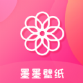 顺丰加速器app官网