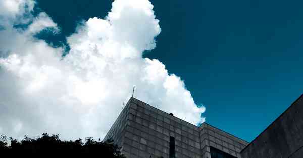 安卓 2023免费科学方法上网