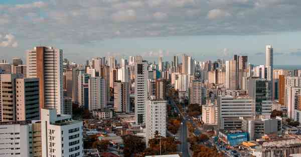 佛跳墙电脑端