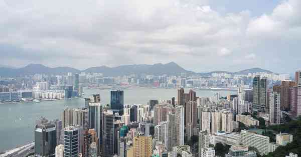 电脑梯子免费
