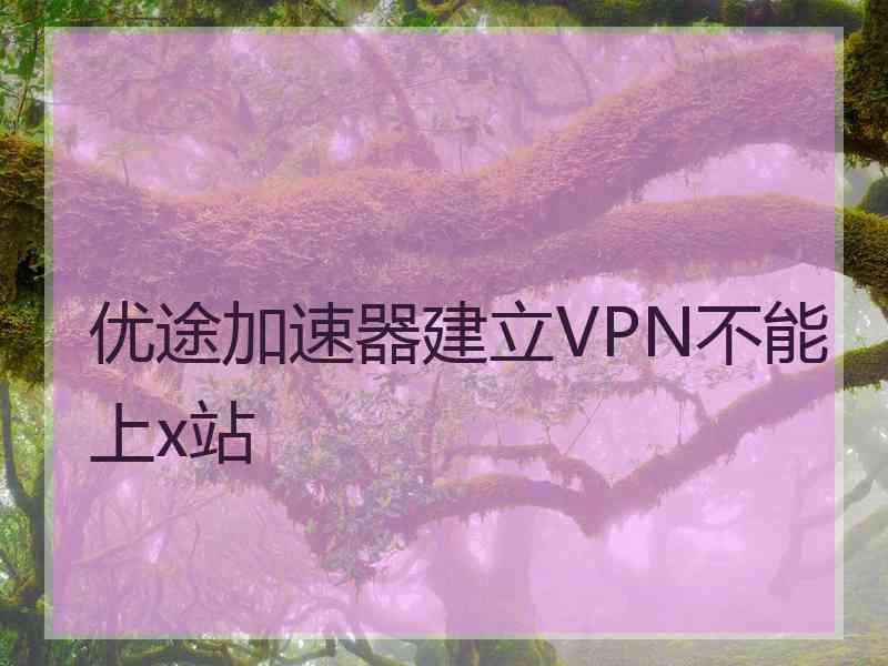 优途加速器建立VPN不能上x站