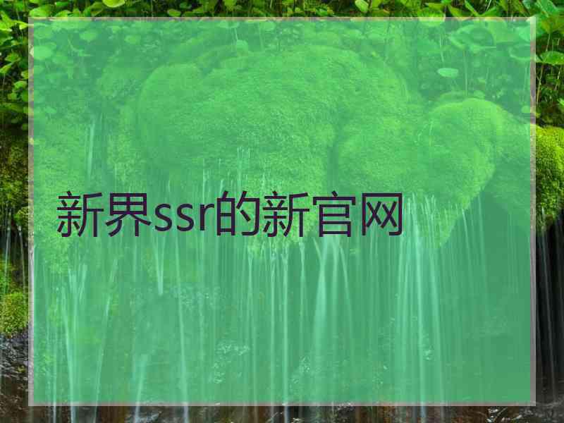 新界ssr的新官网