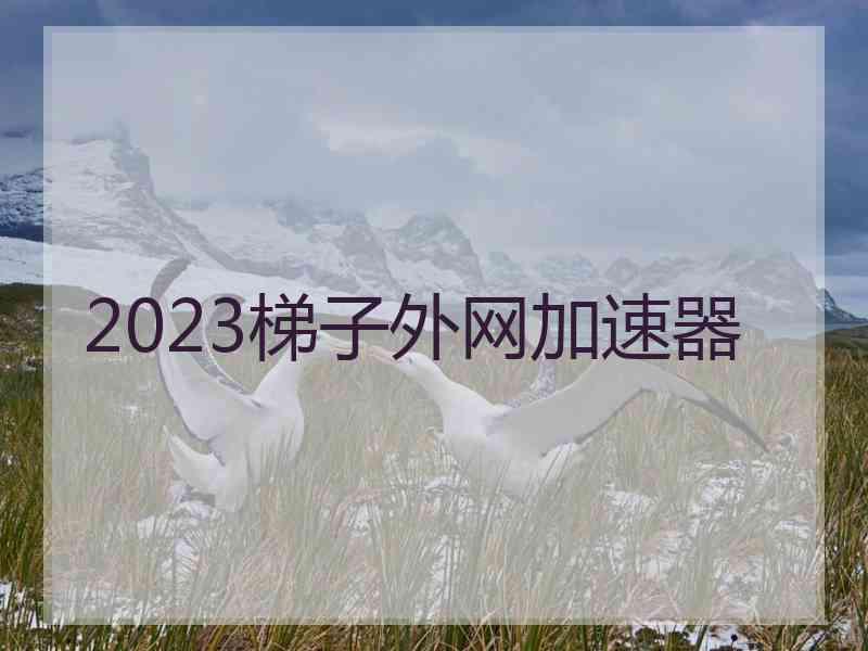 2023梯子外网加速器