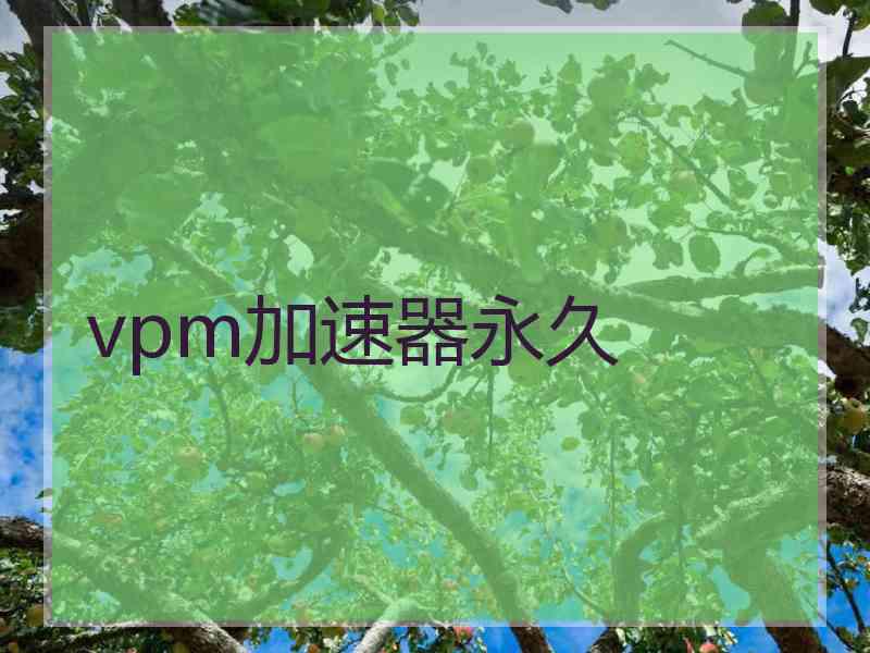 vpm加速器永久
