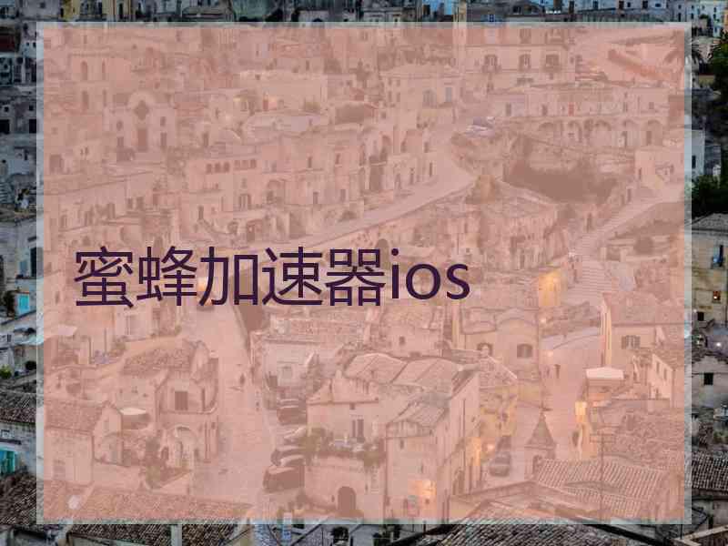 蜜蜂加速器ios