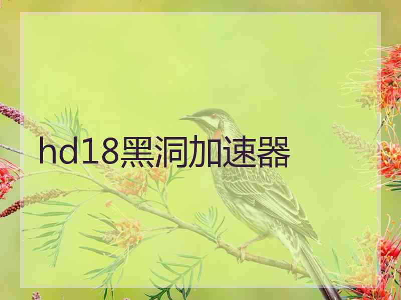 hd18黑洞加速器