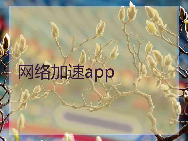 网络加速app