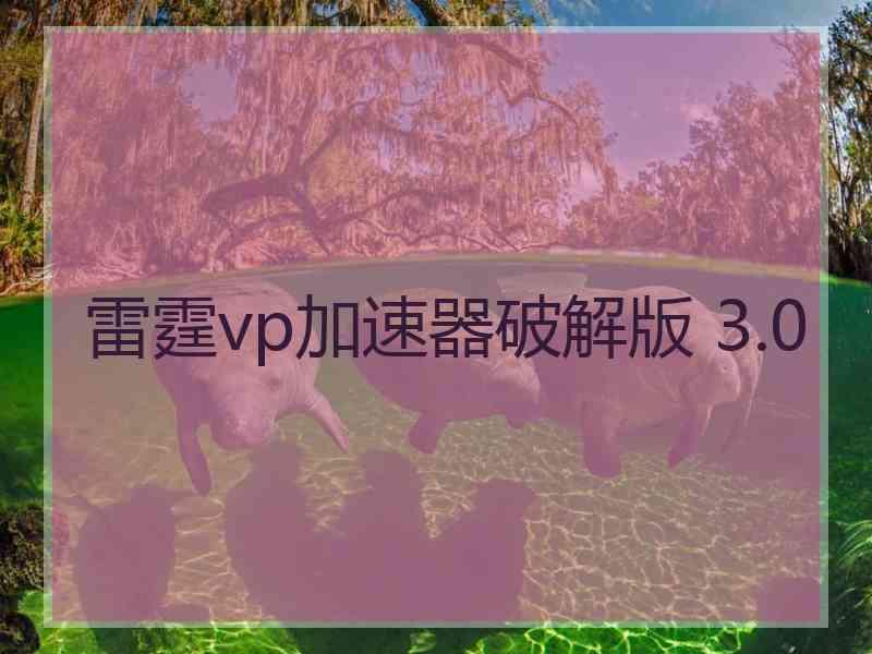 雷霆vp加速器破解版 3.0