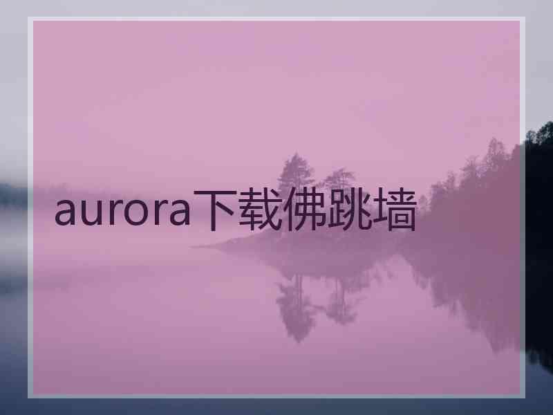 aurora下载佛跳墙