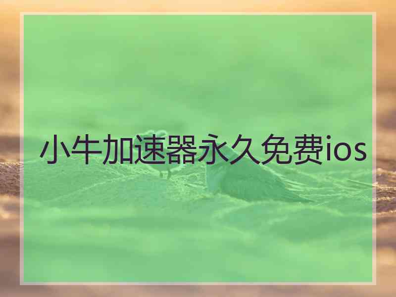 小牛加速器永久免费ios