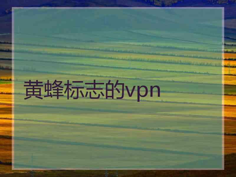 黄蜂标志的vpn