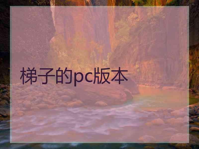 梯子的pc版本