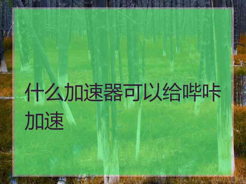 什么加速器可以给哔咔加速