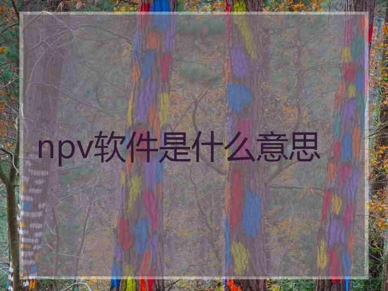 npv软件是什么意思