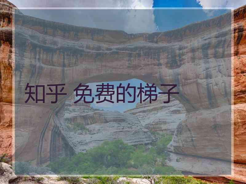 知乎 免费的梯子