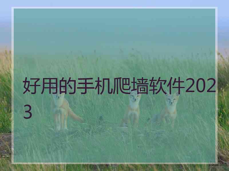 好用的手机爬墙软件2023