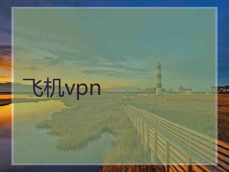 飞机vpn