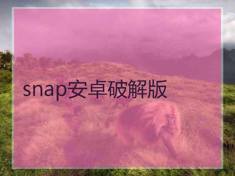 snap安卓破解版