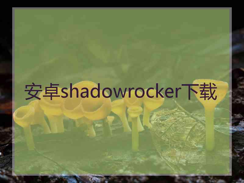 安卓shadowrocker下载