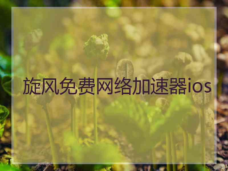 旋风免费网络加速器ios