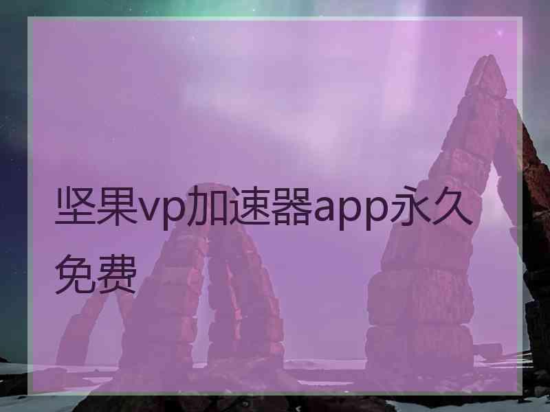 坚果vp加速器app永久免费