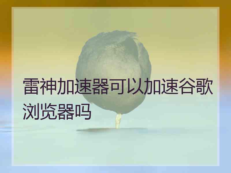 雷神加速器可以加速谷歌浏览器吗