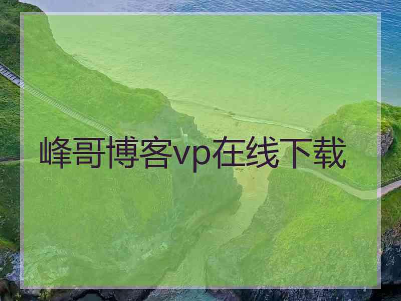 峰哥博客vp在线下载