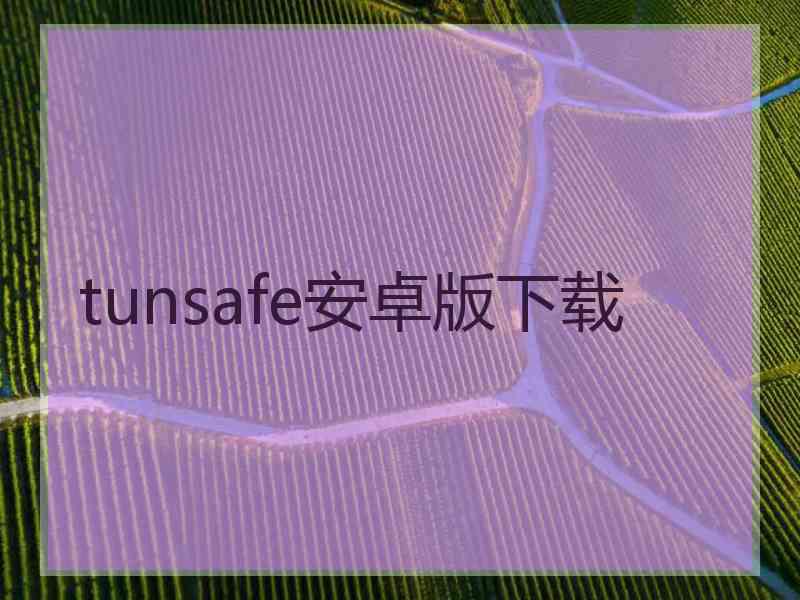 tunsafe安卓版下载