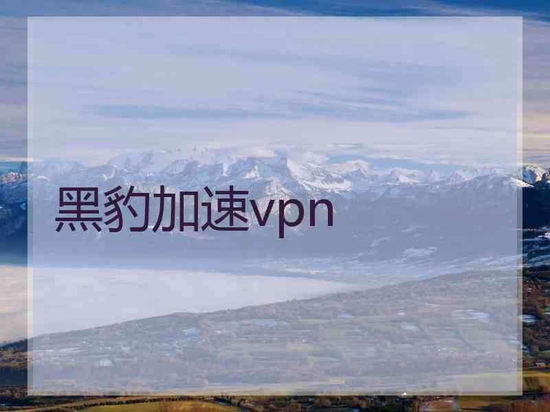 黑豹加速vpn