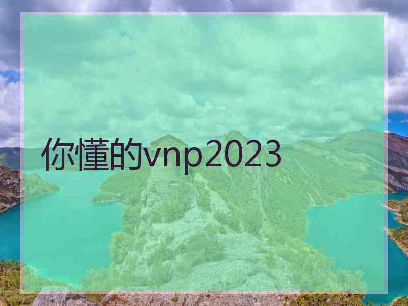 你懂的vnp2023