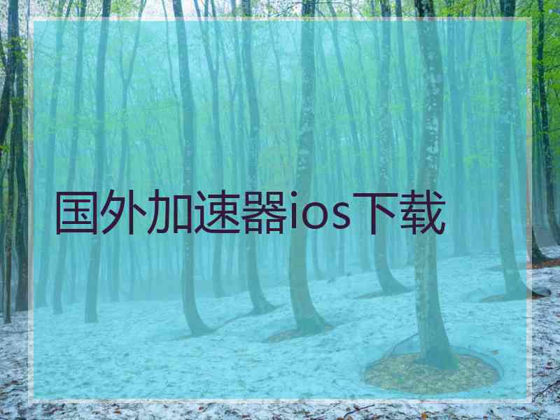 国外加速器ios下载