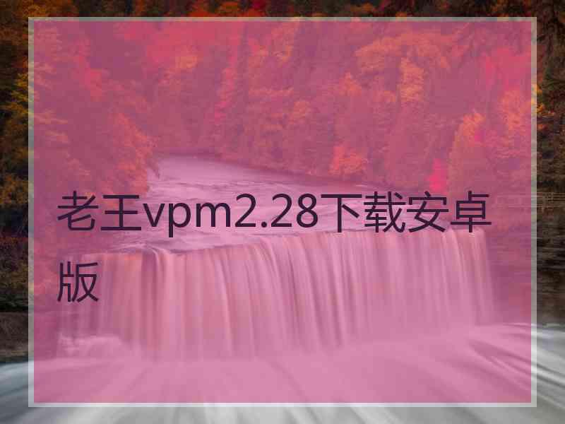 老王vpm2.28下载安卓版