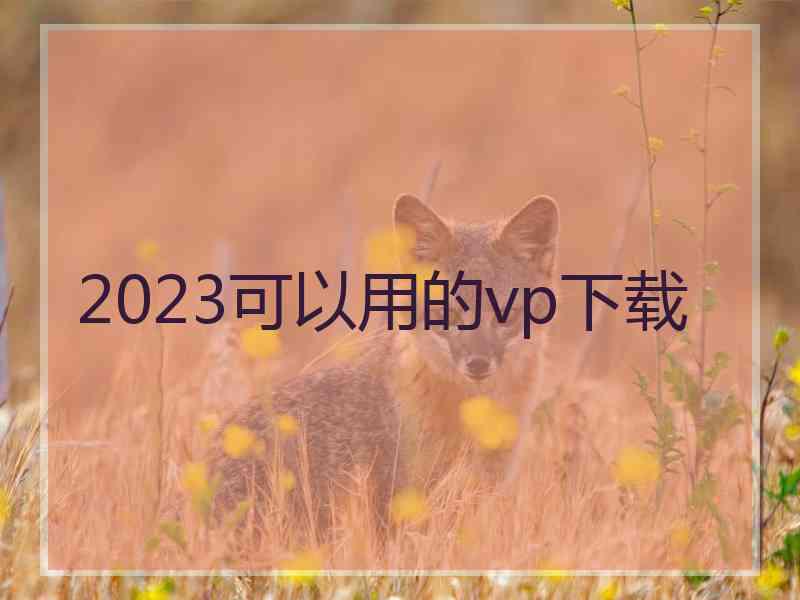 2023可以用的vp下载