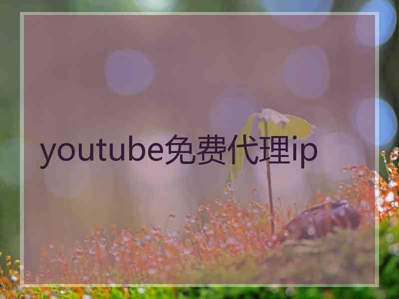 youtube免费代理ip