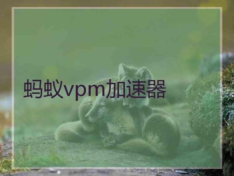 蚂蚁vpm加速器