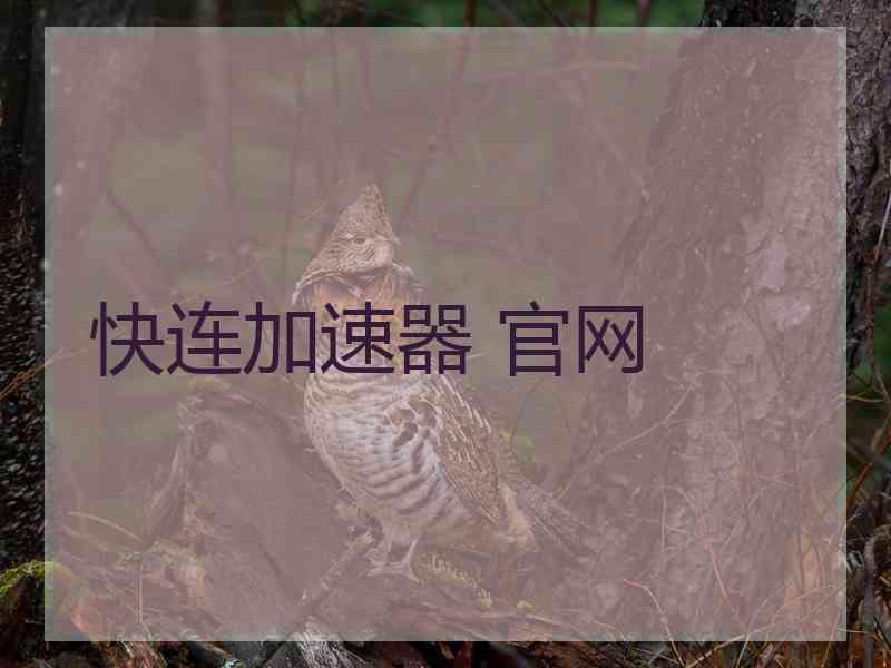 快连加速器 官网