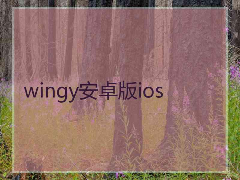 wingy安卓版ios