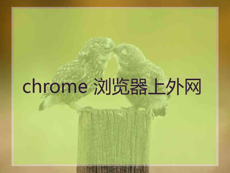 chrome 浏览器上外网