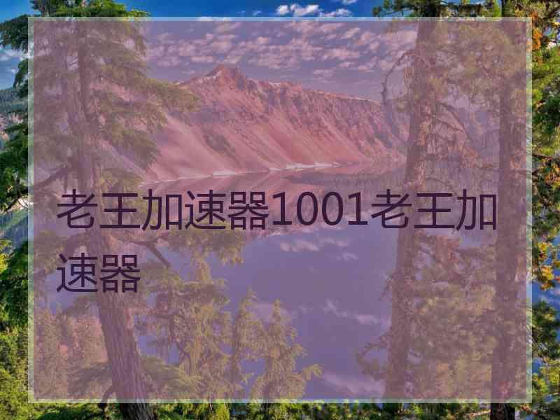 老王加速器1001老王加速器