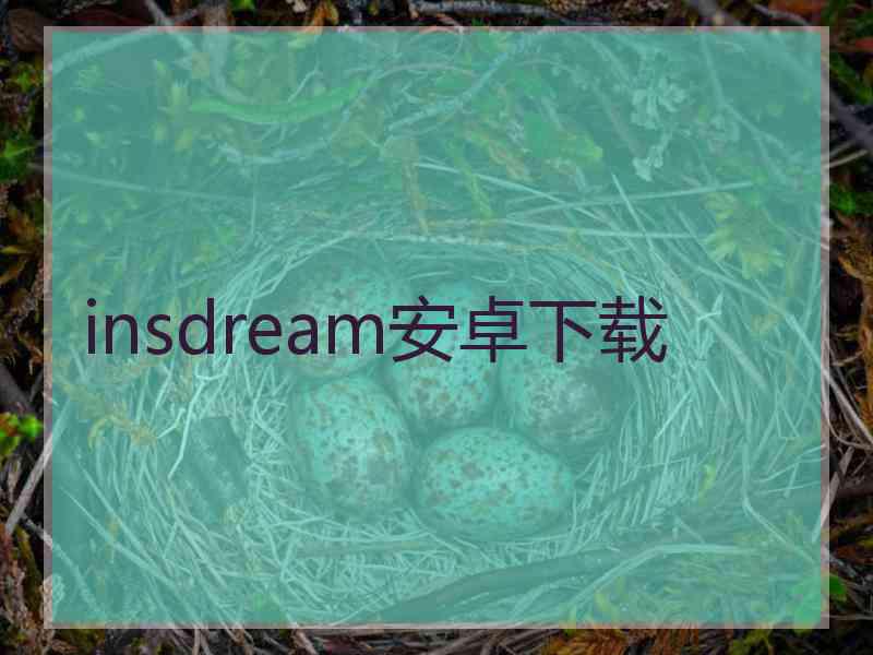 insdream安卓下载