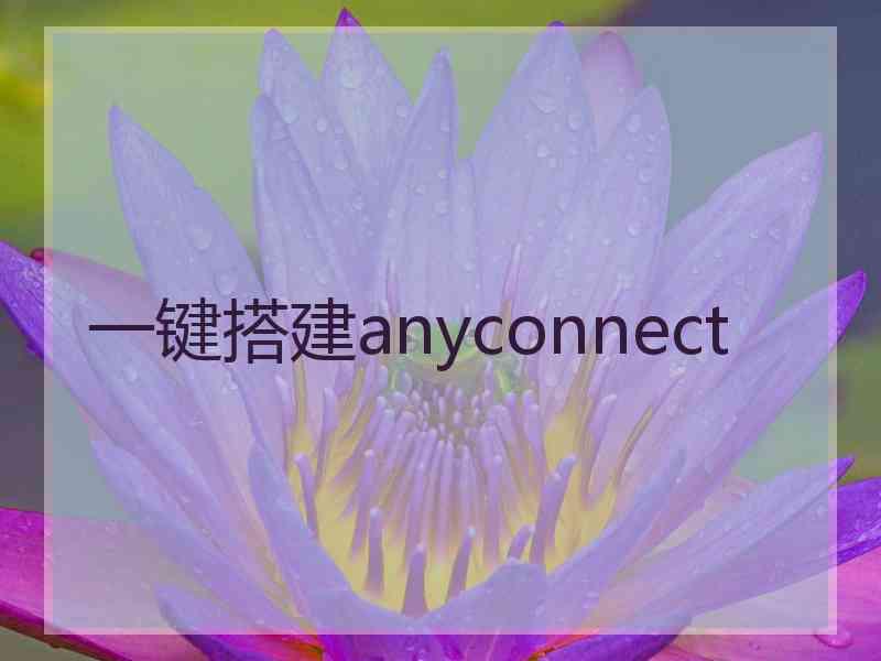 一键搭建anyconnect