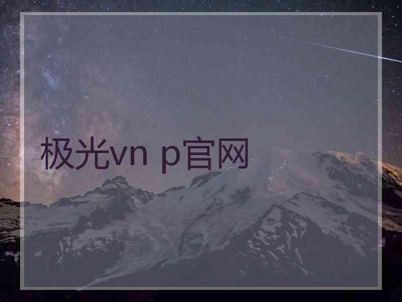 极光vn p官网