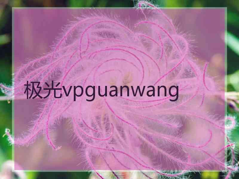 极光vpguanwang