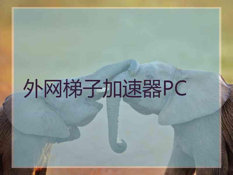 外网梯子加速器PC