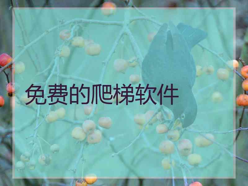 免费的爬梯软件