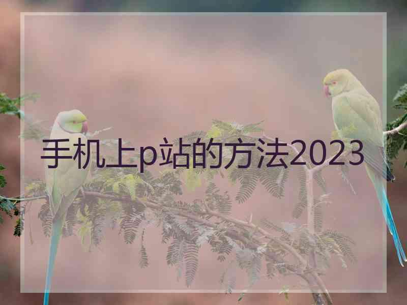 手机上p站的方法2023