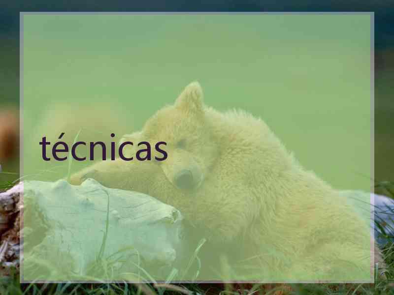 técnicas