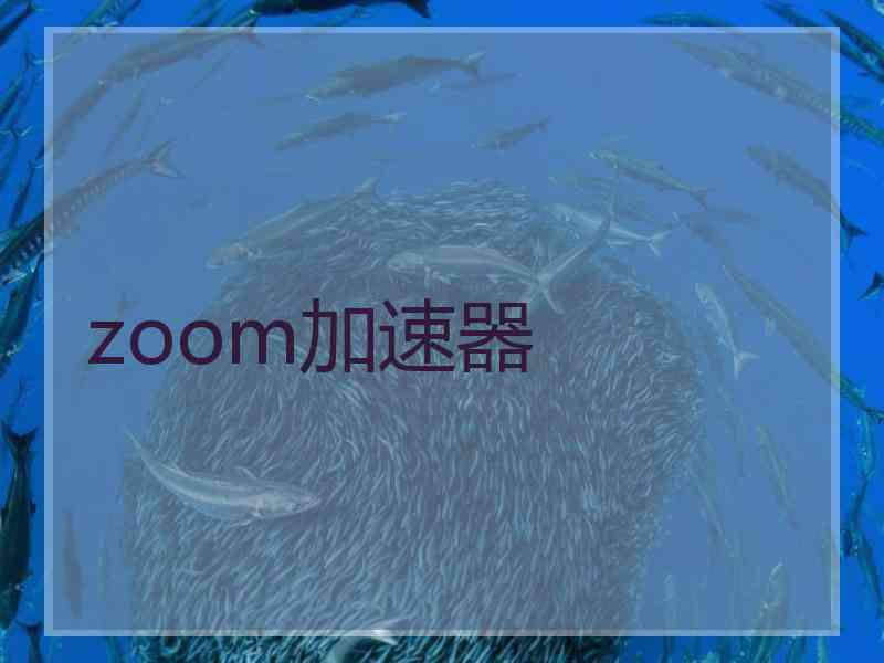 zoom加速器