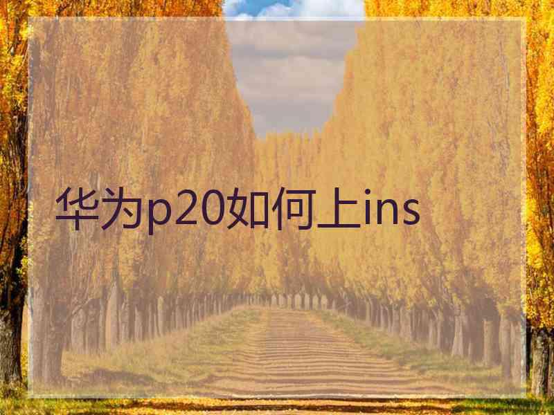 华为p20如何上ins