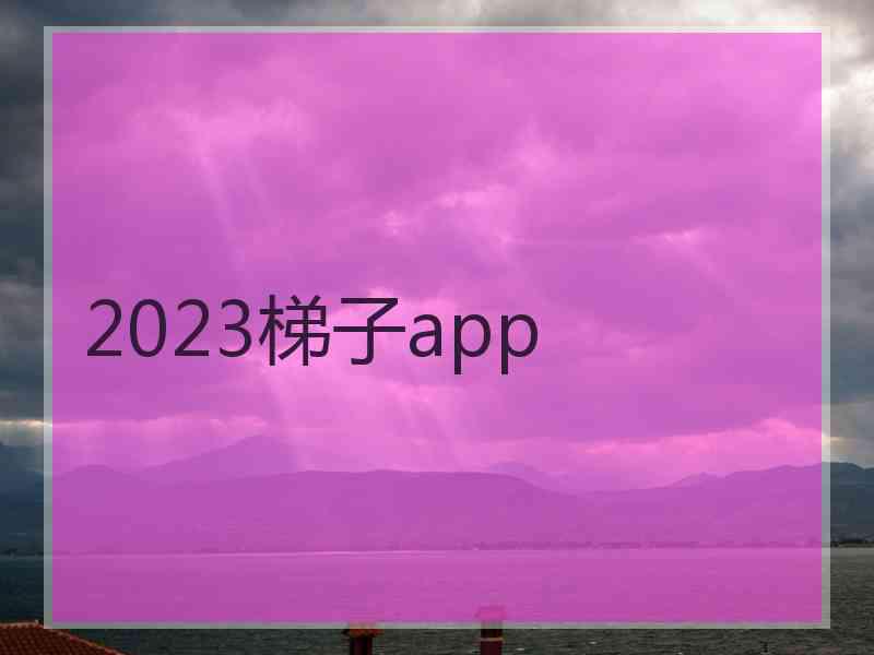 2023梯子app